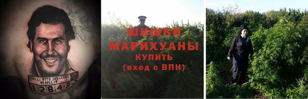 амф Горняк