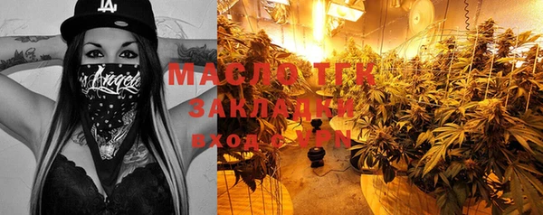 индика Дмитровск