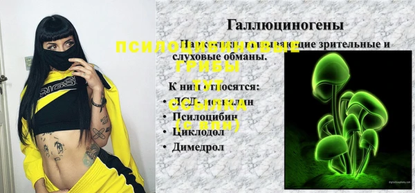 амф Горняк