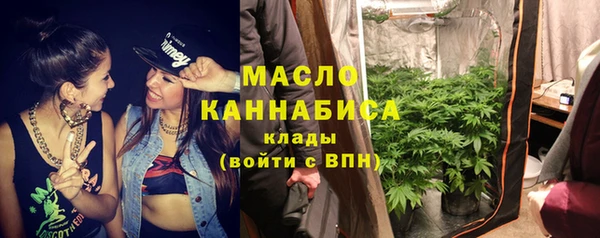 амф Горняк