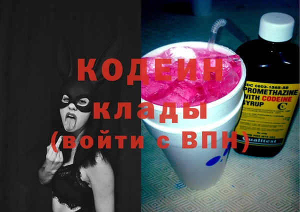 амф Горняк