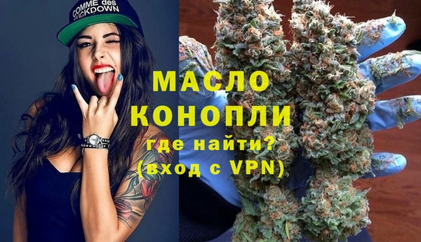 амф Горняк