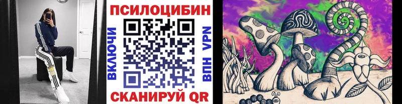 Галлюциногенные грибы Psilocybine cubensis  Купить закладки  Кораблино 